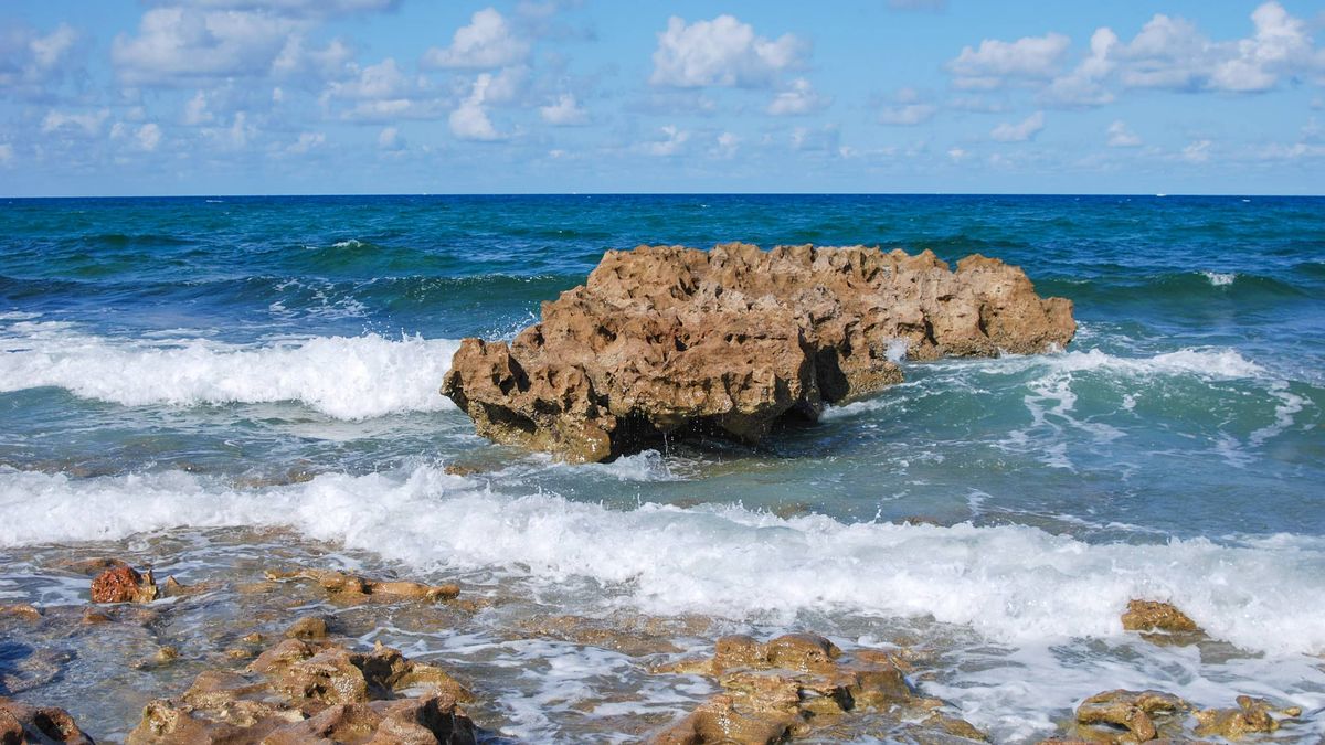 Puedes realizar miles de actividades en este gran lugar. Puedes realizar miles de actividades en este gran lugar.