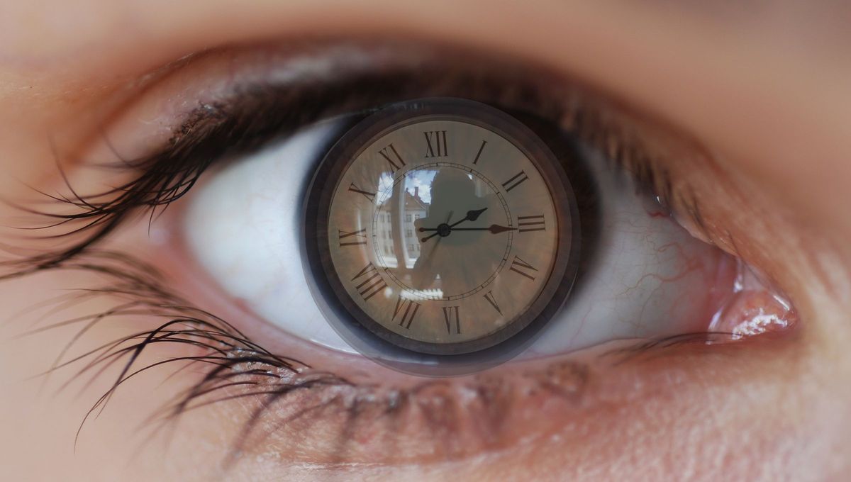 Cada persona hoy presente leyendo esta nota vivió una vida pasada. Tuvo una reencarnación. Cada persona hoy presente leyendo esta nota vivió una vida pasada. Tuvo una reencarnación.