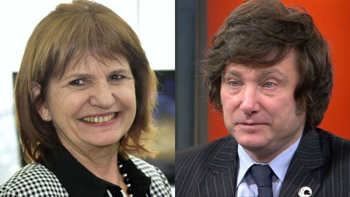 Patricia Bullrich y Javier Milei tienen cada vez más coincidencias. Patricia Bullrich y Javier Milei tienen cada vez más coincidencias.