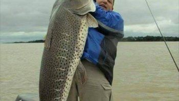 Pescaron un surubí de 80 kilos