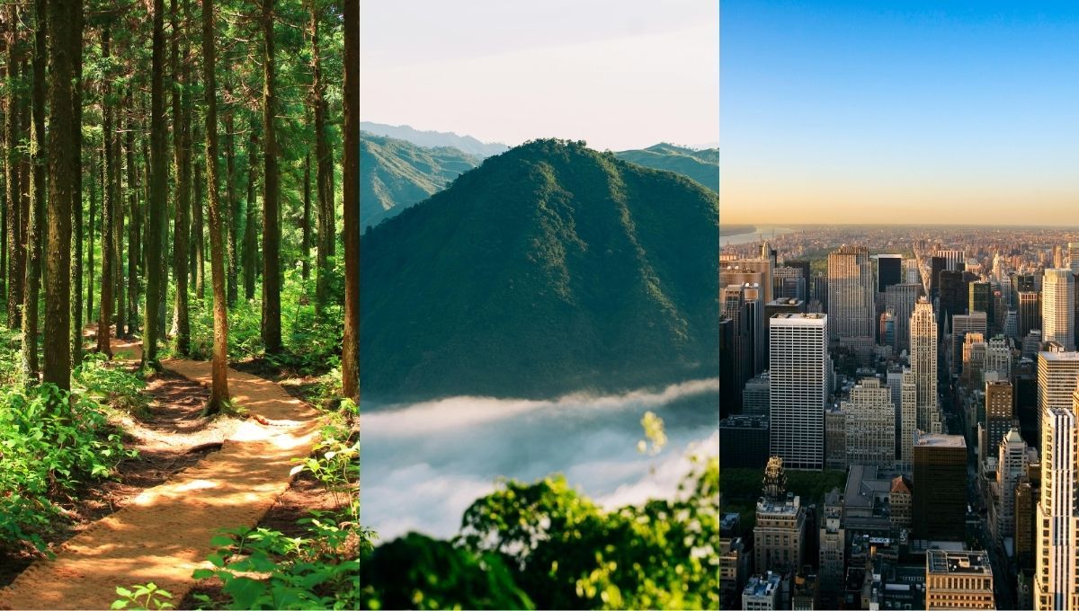 Test de personalidad: elige un paisaje y descubre tu mayor motivación