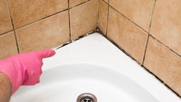 Cómo quitar los hongos del baño sin usar lavandina o cloro