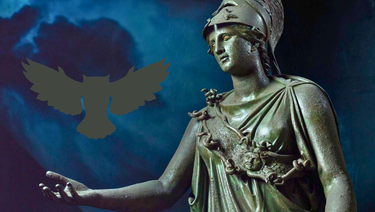 El ave nocturno asociado a la sabiduría que fue fuente de inspiración para los mejores dioses del olimpo. Foto Canva