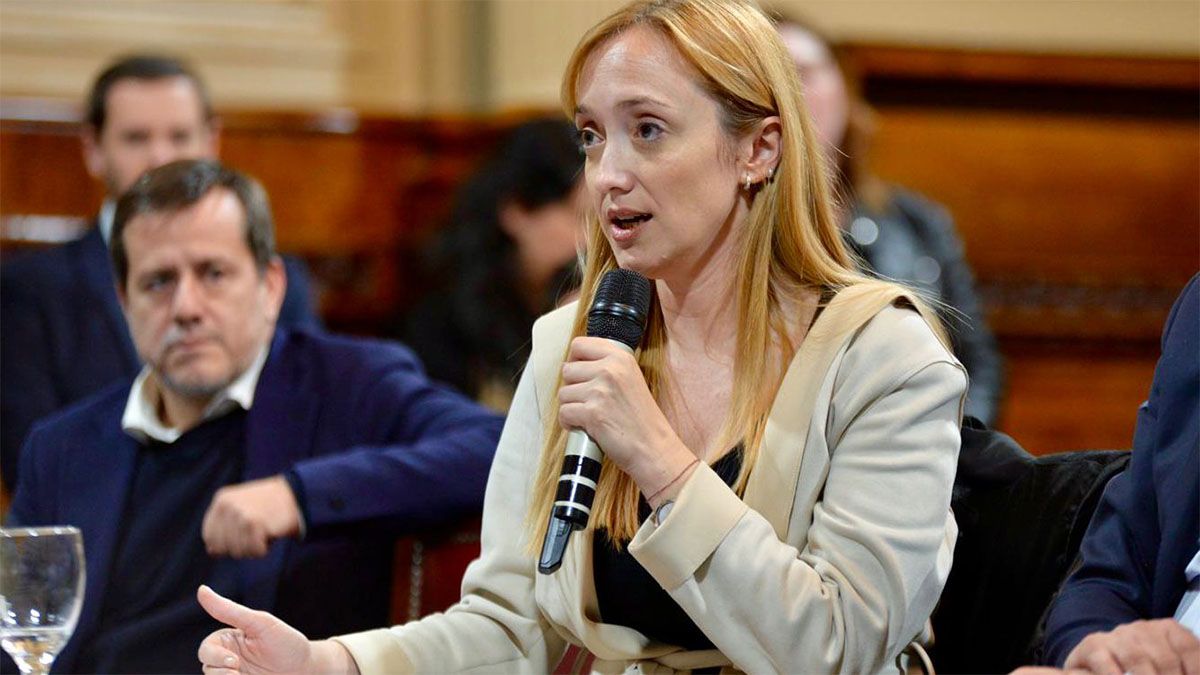 Anabel Fernández Sagasti será parte de la comisión bicameral que evalúe el DNU. Anabel Fernández Sagasti será parte de la comisión bicameral que evalúe el DNU.
