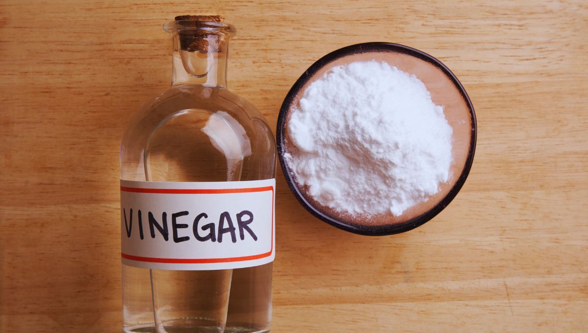 Fuente canva Fuente canva