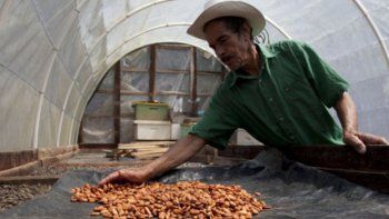 En Honduras, construyen el futuro con chocolate