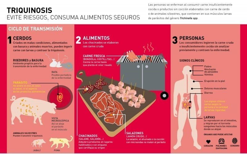Llegó la época de carneos, consejos para prevenir el contagio de triquinosis