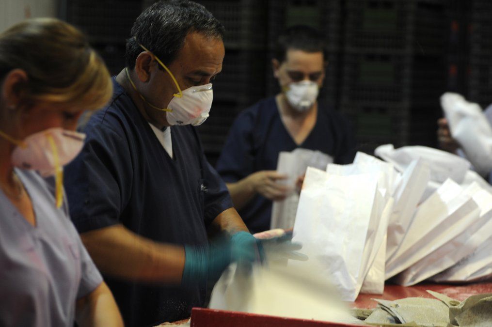 Como pol&iacute;tica fitosanitaria, el Iscamen aplica insectos esterilizados de la mosca del Mediterr&aacute;neo para combatir la plaga en la provincia e incluso exporta esa t&eacute;cnica a Chile.