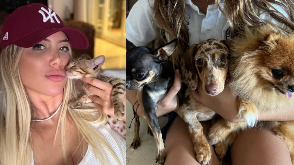 Wanda Nara acusó a Mauro Icardi de abandonar a su perro. Wanda Nara acusó a Mauro Icardi de abandonar a su perro.