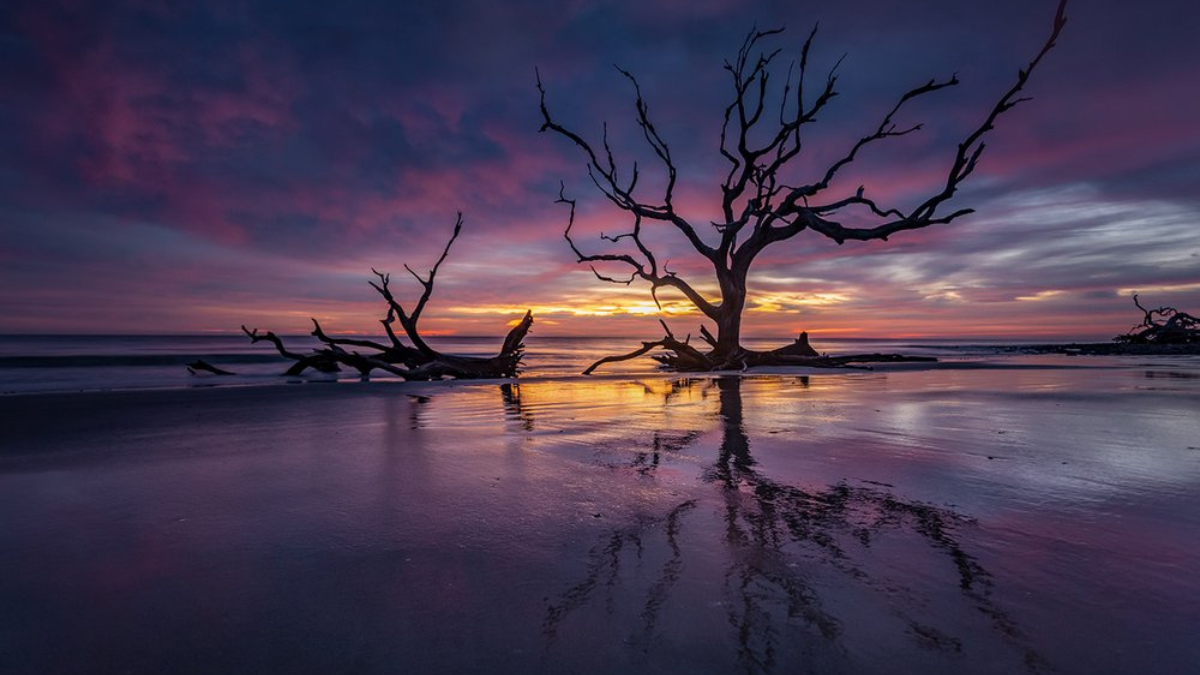 La encantadora playa Driftwood Beach es una de las más misteriosas y encantadoras de Georgia. La encantadora playa Driftwood Beach es una de las más misteriosas y encantadoras de Georgia.