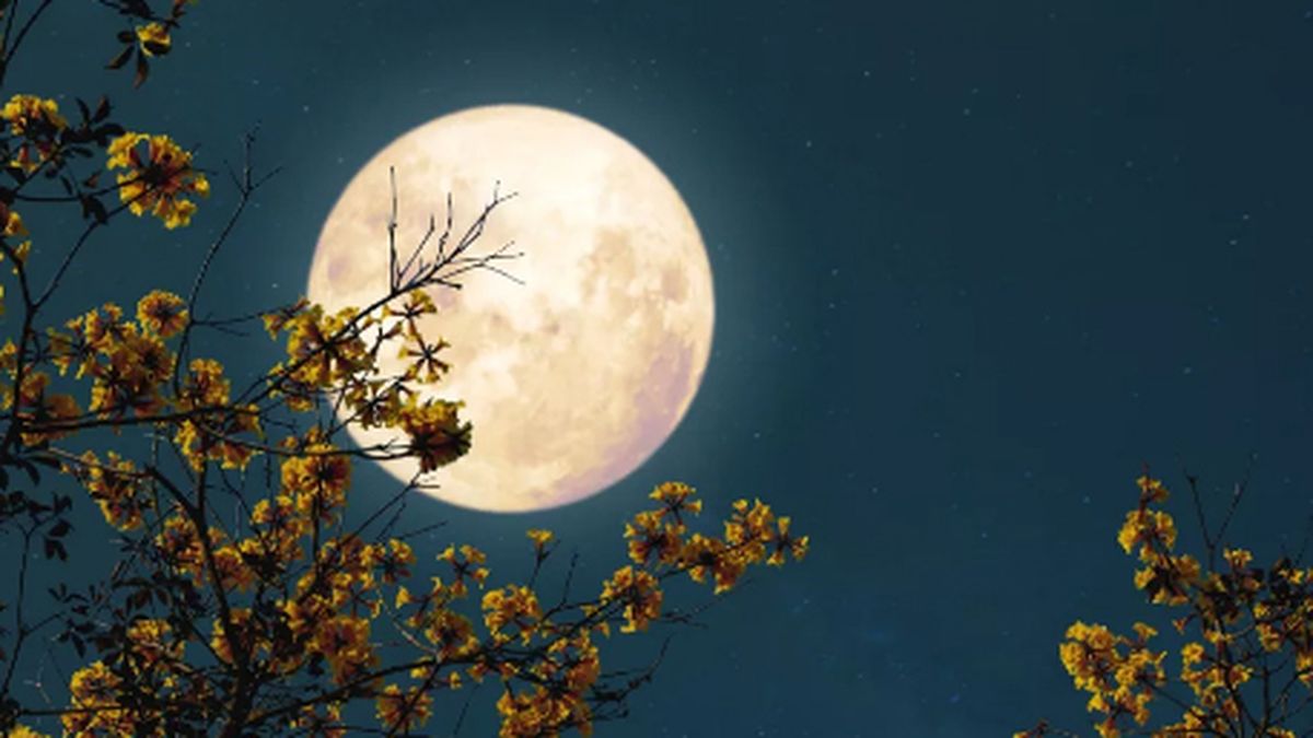 Falta poco para la Luna llena de febrero. Ritual para aprovechar su energía.