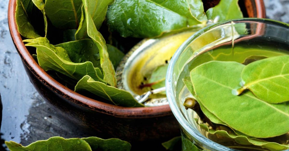 Beneficio de tomar té de laurel. Beneficio de tomar té de laurel.