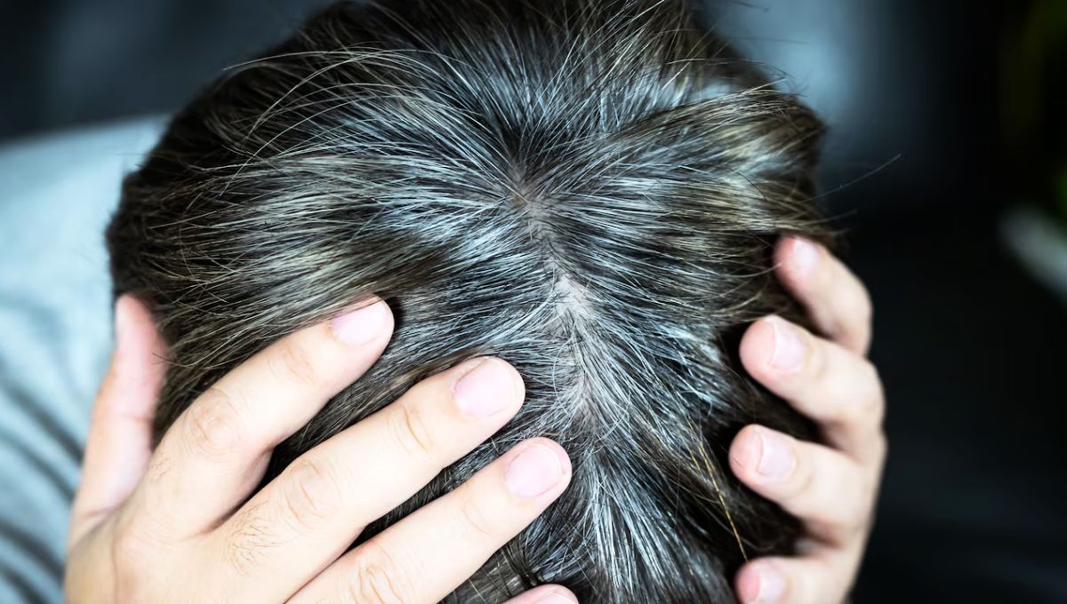 Las canas son un signo evidente del envejecimiento. Descubre como puedes eliminarlas
