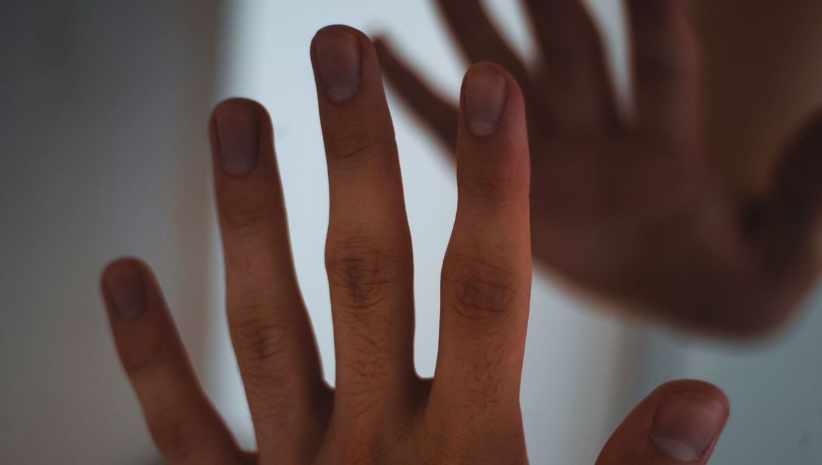 Es normal tener el dedo del medio más largo que los demás, pero también tiene un significado. Es normal tener el dedo del medio más largo que los demás, pero también tiene un significado.