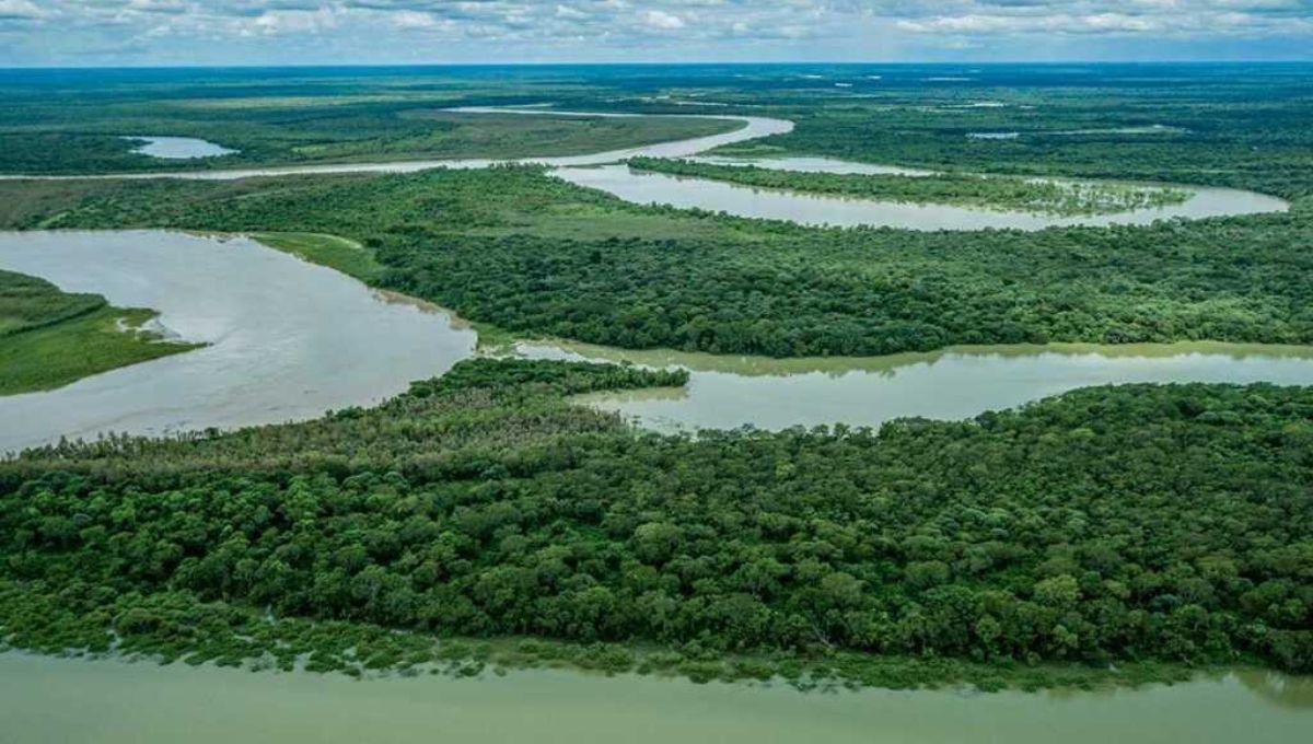 Argentina posee una parte de la reserva de agua dulce más grande del planeta Tierra bajo sus pies