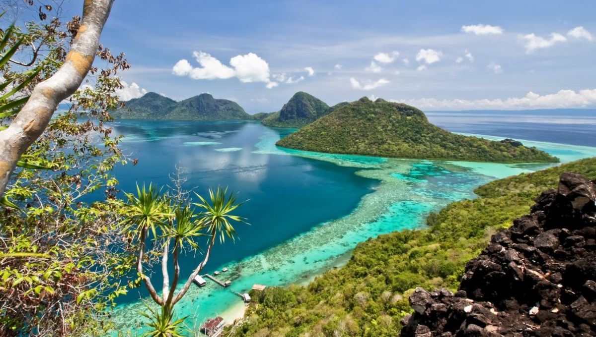 Esta isla cuenta con la isla más grande del mundo: La especie Rafflesia arnoldii puede pesar hasta 10 kilos y alcanzar 100 centímetros de diámetro. Esta isla cuenta con la isla más grande del mundo: La especie Rafflesia arnoldii puede pesar hasta 10 kilos y alcanzar 100 centímetros de diámetro.