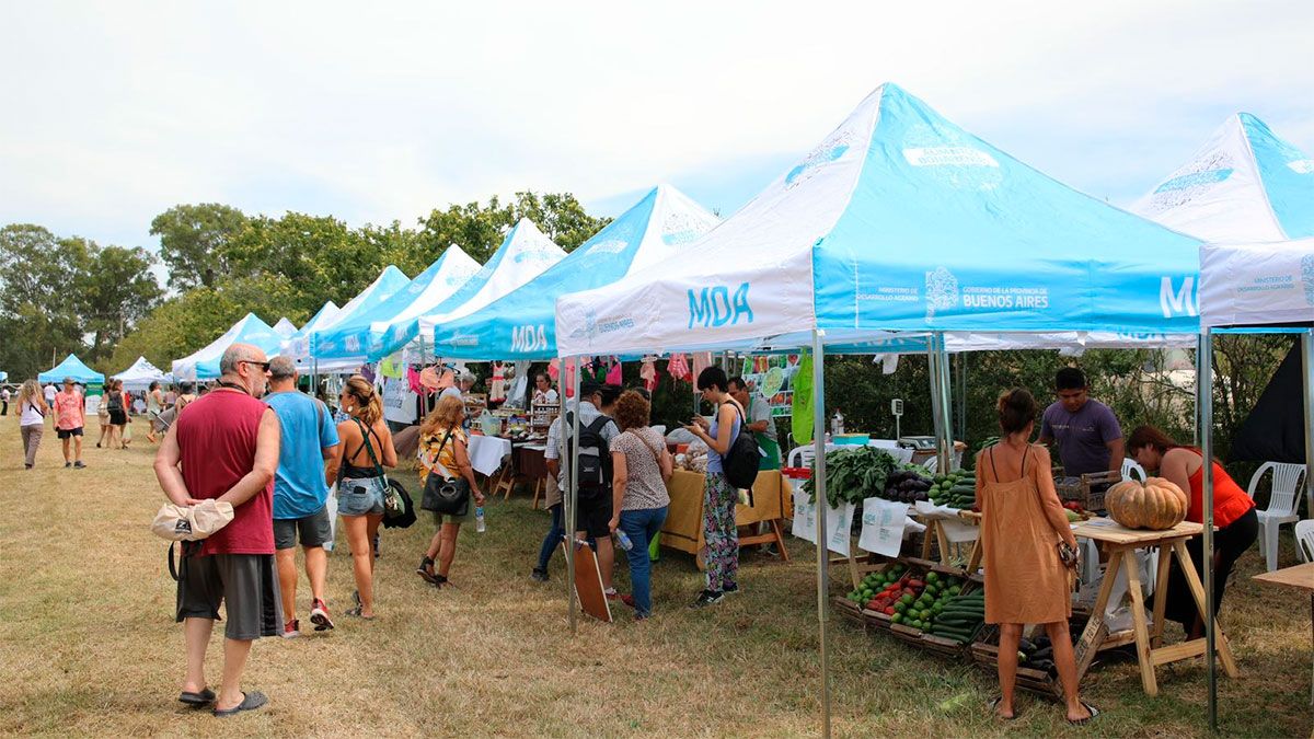 El ahorro del 40%, se toma solamente con Cuenta DNI y es con tope de reintegro unificado en $6.000 por semana y por persona. El ahorro del 40%, se toma solamente con Cuenta DNI y es con tope de reintegro unificado en $6.000 por semana y por persona.