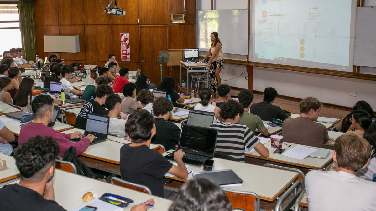 Los estudiantes de Ciencias Económicas podrán acceder a títulos intermedios. Los estudiantes de Ciencias Económicas podrán acceder a títulos intermedios.