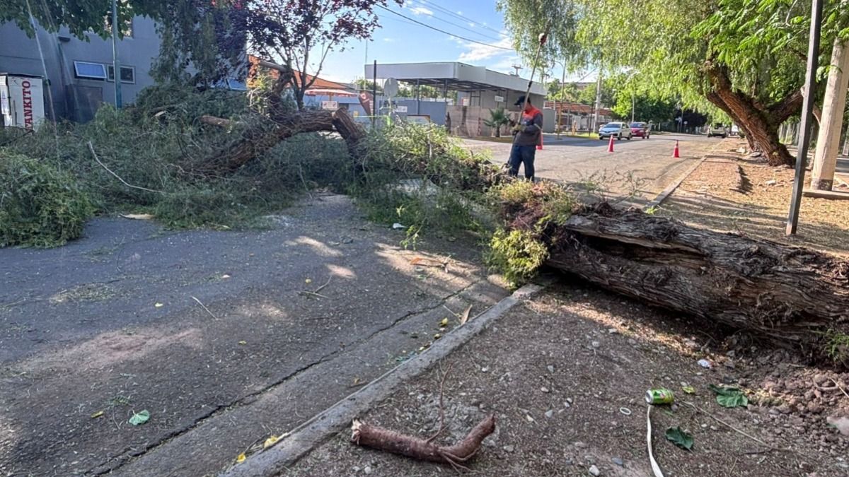 As&iacute; era el paisaje cerca de las 8 en calle Los Alamos, entre Brasil y Barraquero (Godoy Cruz).