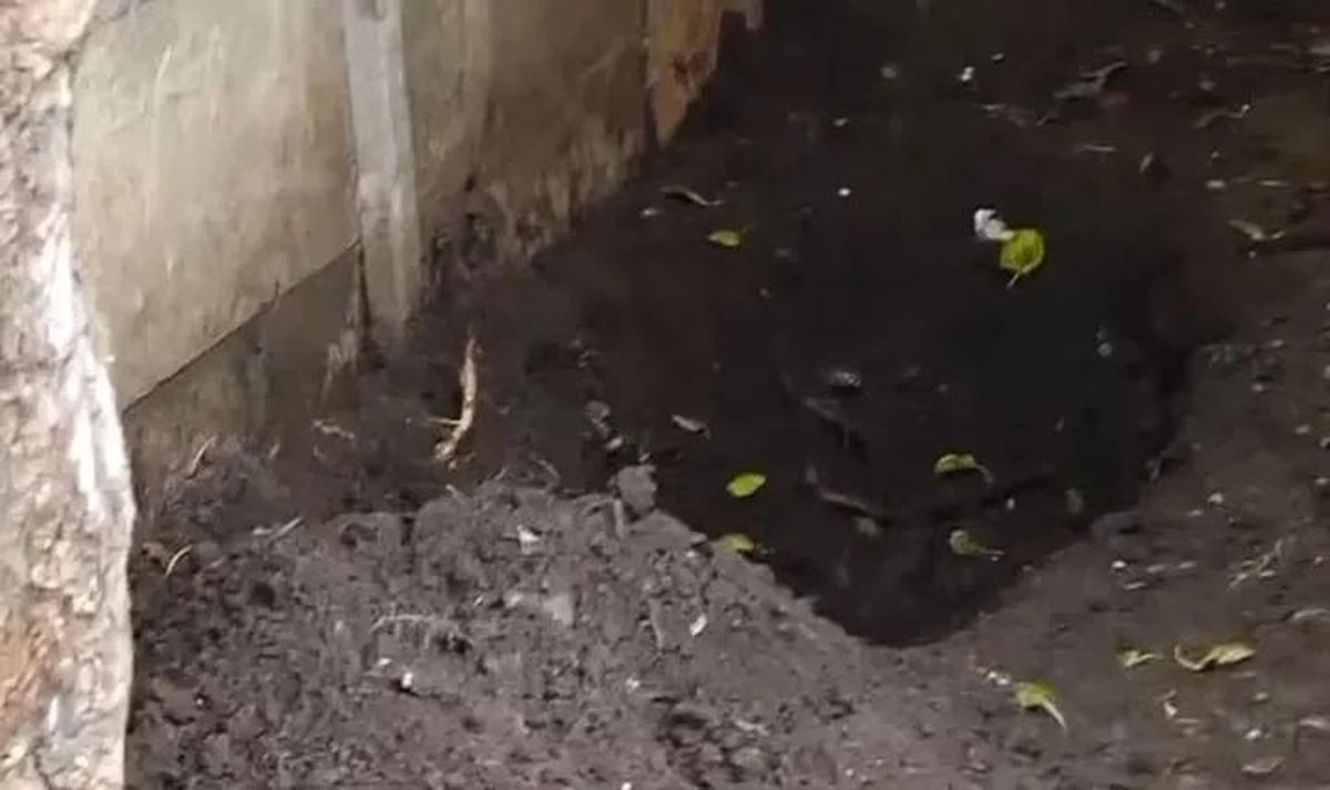 Se espera la autopsia de la mujer para identificarla.&nbsp;