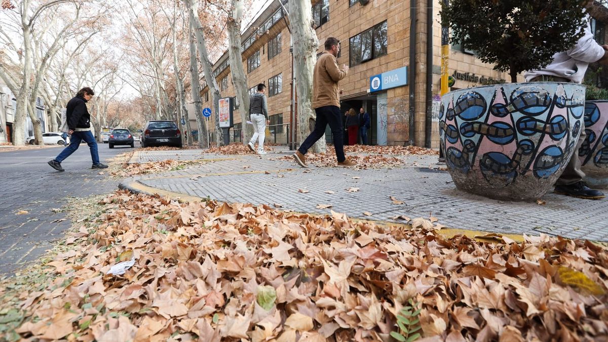 Este sábado se caracterizará por el viento Zonda y las altas temperaturas.