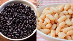 Principales diferencias entre dos tipos de porotos.&nbsp;