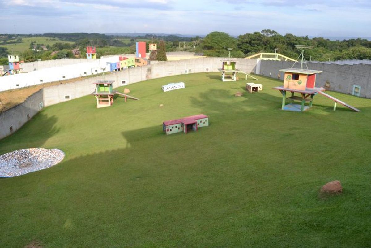 El caso de la chimpancé Cecilia generó un revuelo jurídico y fue trasladada desde el ahora Ecoparque de Mendoza a un santuario de animales en Brasil, mejorando su calidad de vida. El caso de la chimpancé Cecilia generó un revuelo jurídico y fue trasladada desde el ahora Ecoparque de Mendoza a un santuario de animales en Brasil, mejorando su calidad de vida.