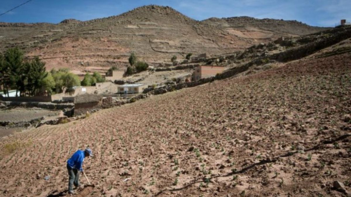 (Foto: Pinterest) (Foto: Pinterest)