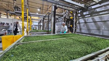 Por el cierre de la fábrica de alimentos Unilever de Corralitos fueron despedidos 60 operarios Por el cierre de la fábrica de alimentos Unilever de Corralitos fueron despedidos 60 operarios