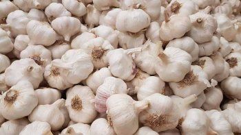 Un productor denunció que le robaron 2 mil kilos de ajo en San Carlos