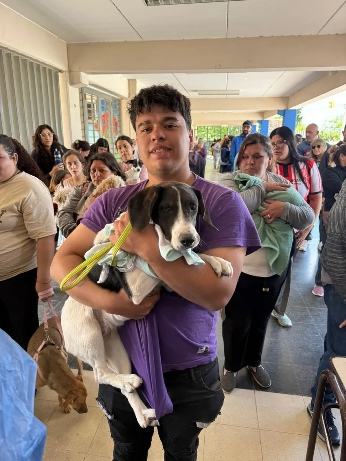 La castración de animales es una política de Estado que San Martín ejecuta en conjunto con la ONG de protección animal 