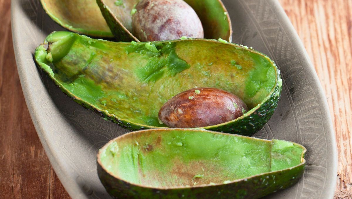 El proceso de descomposición de la cáscara de palta en la tierra libera elementos fundamentales como el potasio, el nitrógeno y el magnesio vitales para el sistema inmunológico del árbol .