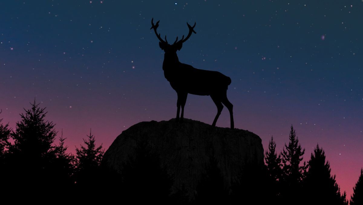 Luna llena de Ciervo, se verá este domingo poco después de las 00.17 y durante toda la noche/madrugada. Luna llena de Ciervo, se verá este domingo poco después de las 00.17 y durante toda la noche/madrugada.