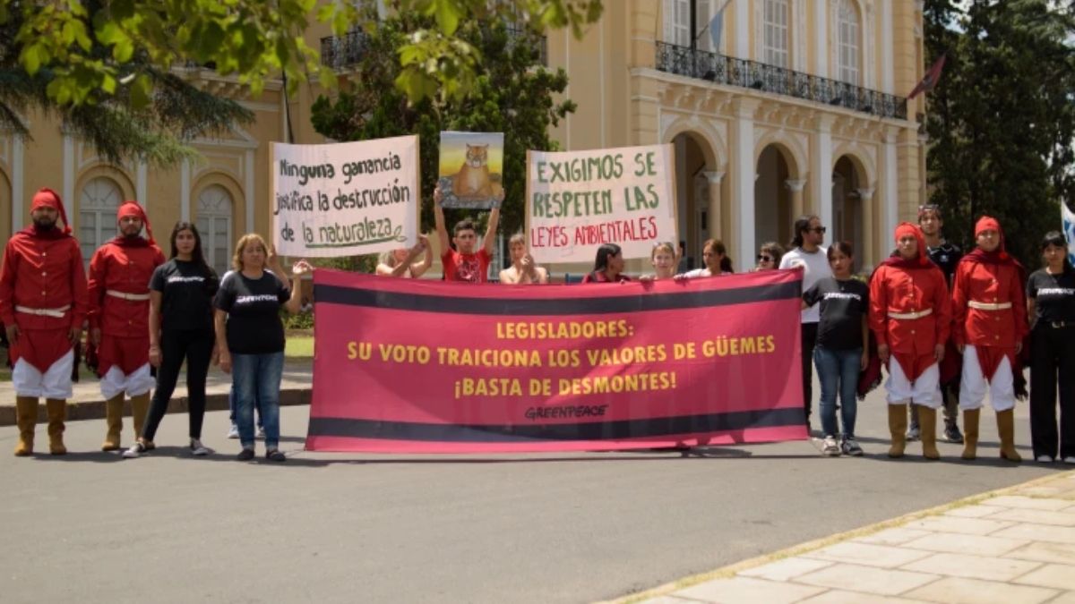 Foto: Greenpeace Foto: Greenpeace