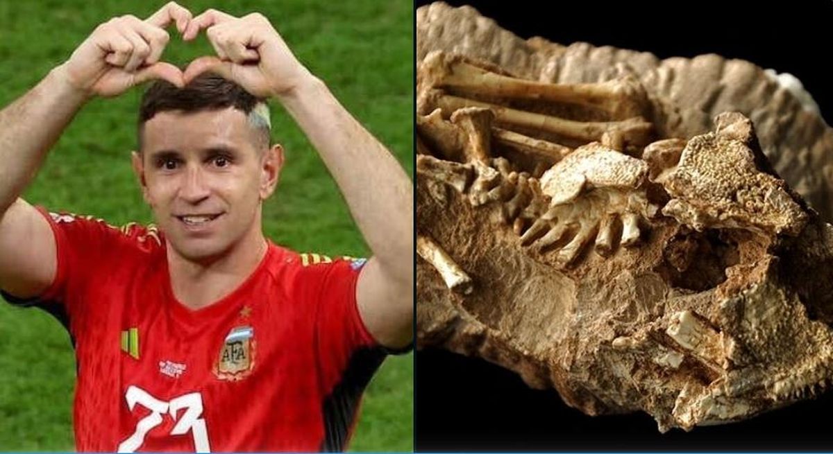 El Dibu Martínez y los restos fósiles hallados en Mendoza. / X