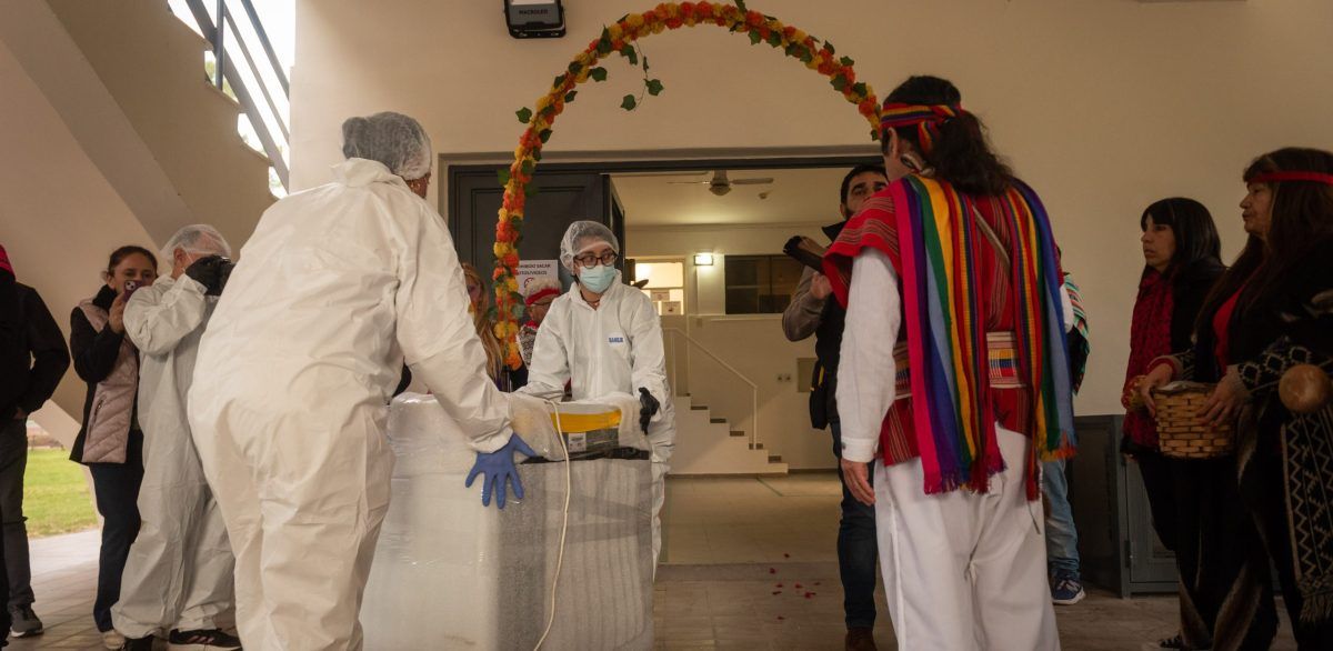El niño habría sido sacrificado en el 1500. El niño habría sido sacrificado en el 1500.