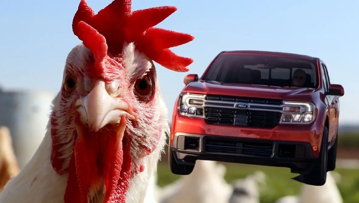 La guerra por el pollo que transformó la industria automotriz de Estados Unidos