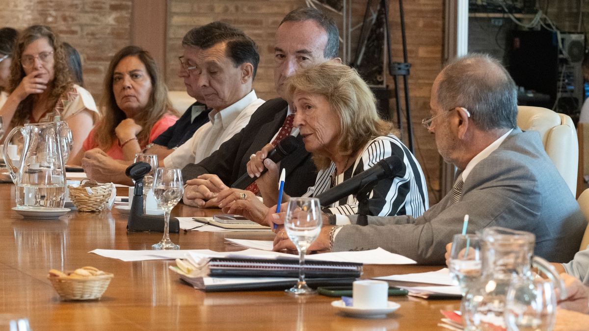 El Consejo Superior de la UNCuyo, con Esther Sanchez y Gabriel Fidel a la cabeza.