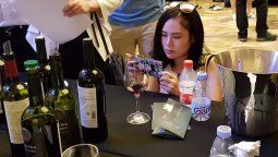 Más de 400 bodegas mendocinas exportaron sus vinos en el 2019