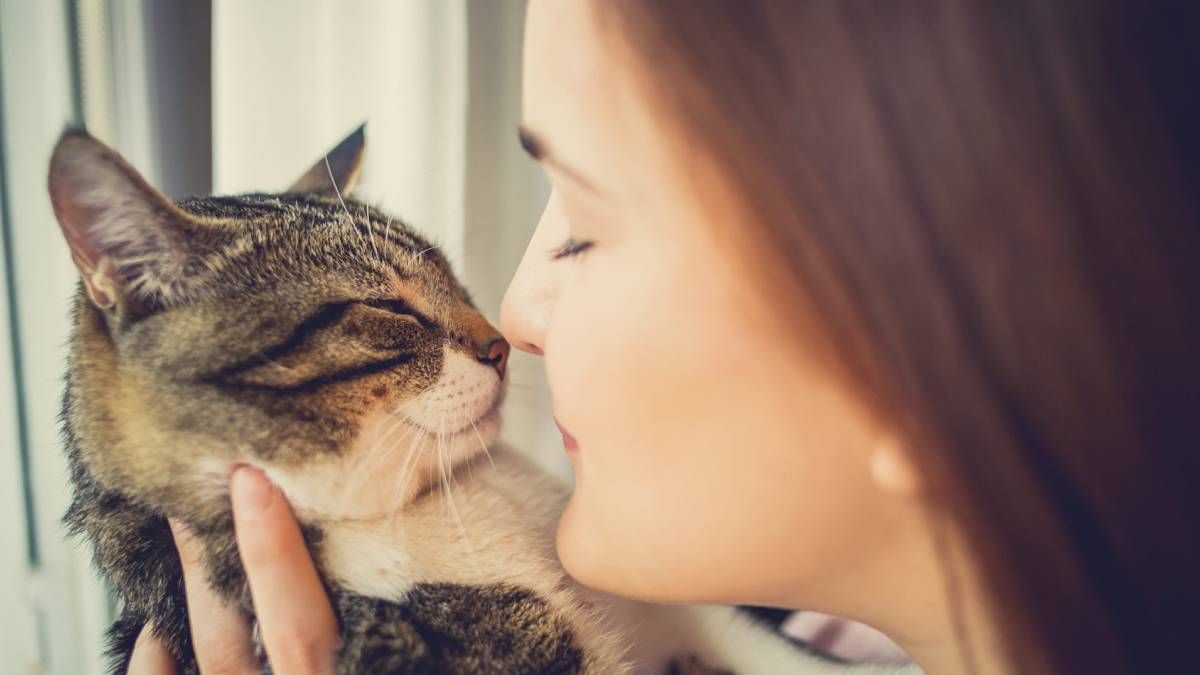 Feng Shui: descubre los beneficios de tener un gato como mascota Feng Shui: descubre los beneficios de tener un gato como mascota
