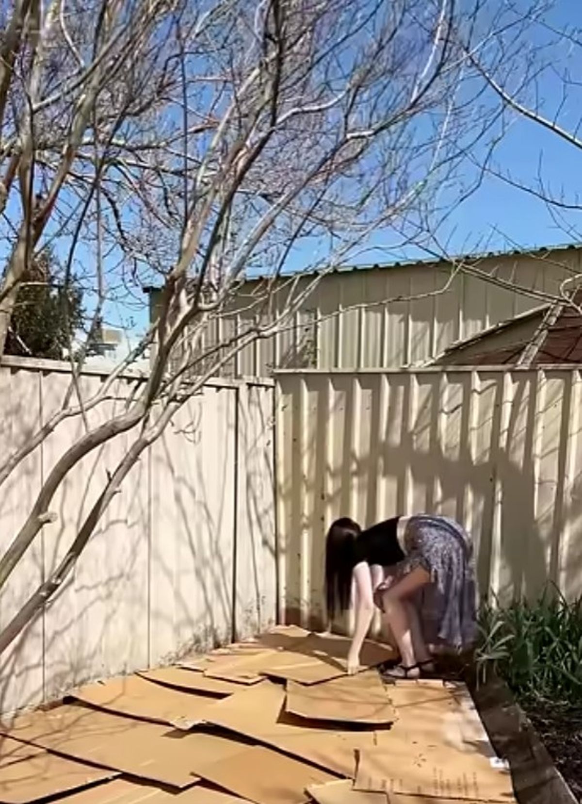 Este truco de jardinería te permitirá tener un jardín sin malezas.