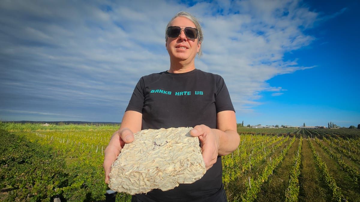 Un estadounidense que vive en Mendoza fabrica cajas para vinos con restos de poda y hongos.