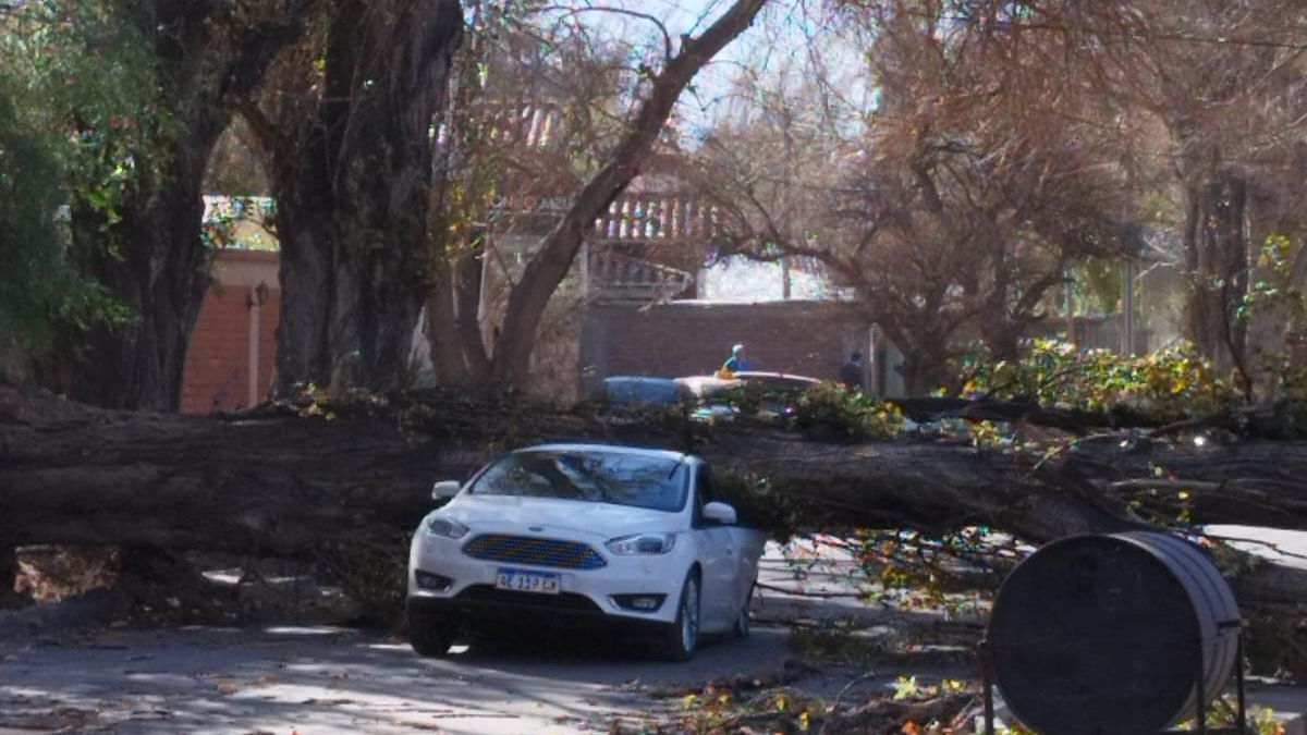 Mendoza ya sufre el Viento Zonda: los mejores memes que llegaron con las ráfagas. Imagen ilustrativa.
