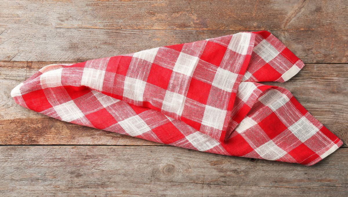 Un simple trapo de cocina puede convertirse en un porta macetas.&nbsp;