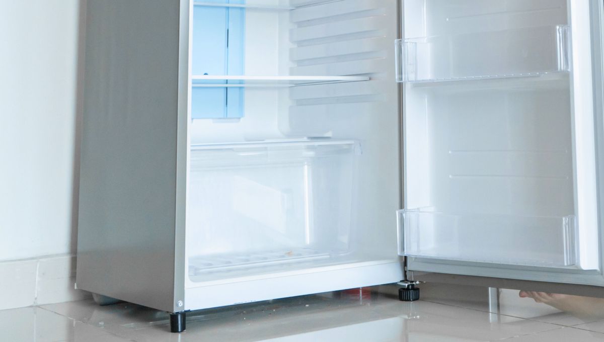 La heladera puede ser un elemento protagonista de múltiples trucos caseros. La heladera puede ser un elemento protagonista de múltiples trucos caseros. 