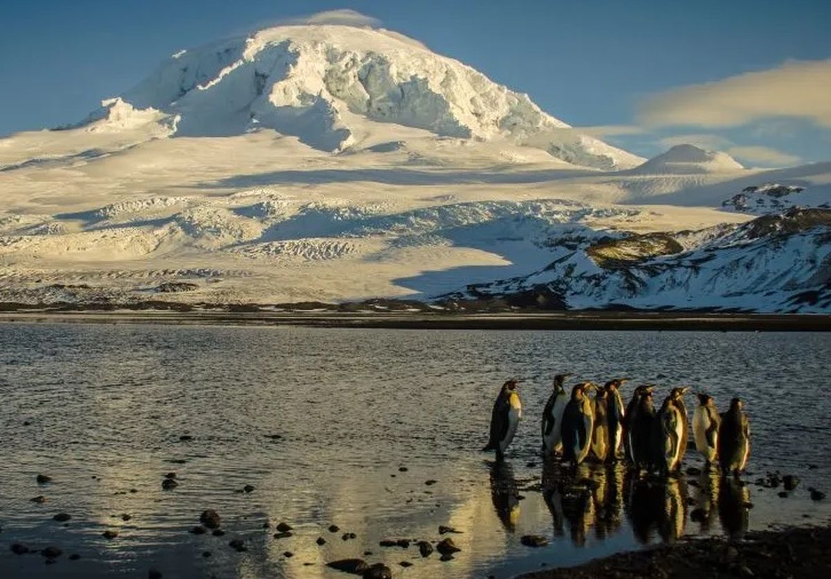 Las islas están habitadas por pingüinos.