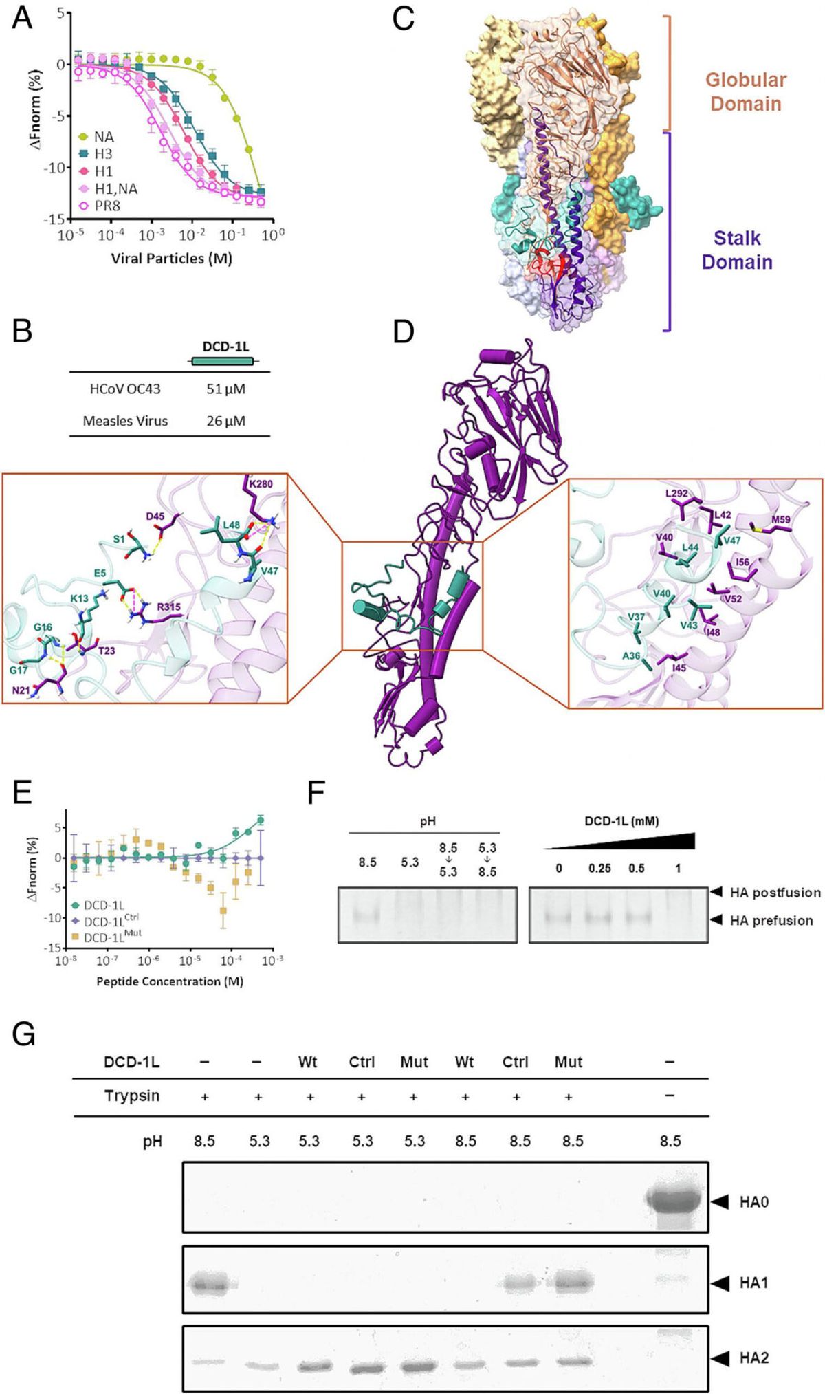 Los científicos analizaron la molécula y descubrieron sus propiedades. Los científicos analizaron la molécula y descubrieron sus propiedades.