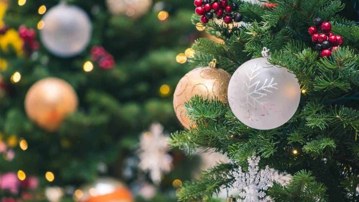 Feng Shui: de qué color deben ser las esferas navideñas para atraer dinero y abundancia Feng Shui: de qué color deben ser las esferas navideñas para atraer dinero y abundancia