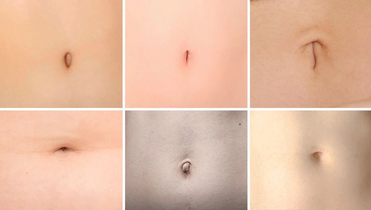 Tipos de ombligo. Tipos de ombligo. 