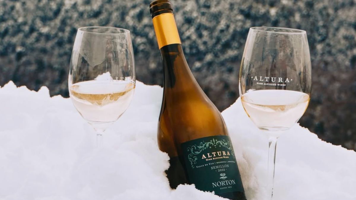 La bodega Norton es una de las más antiguas de la provincia y supo estar entre las 5 que más vino exportó del país. La bodega Norton es una de las más antiguas de la provincia y supo estar entre las 5 que más vino exportó del país.